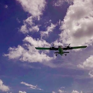 Meet your Posher, Violet